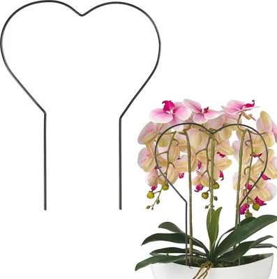 Produktbild von Pflanzenstütze aus Stahl 34 cm dunkelgrün, pulverbeschichtet – stabile Blumenstütze, Gartenstütze, Pflanzhalter, Staudenhalter, Blütenstütze, langlebig