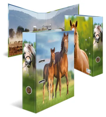 Produktbild von HERMA 20097, A4, Lagerung, Karton, Mehrfarbig, 7 cm, 1 Stück(e)