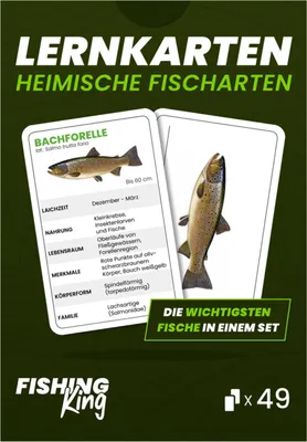 Produktbild von 49 Lernkarten für die Fischerprüfung – häufigsten Süßwasserfische in Deutschland
