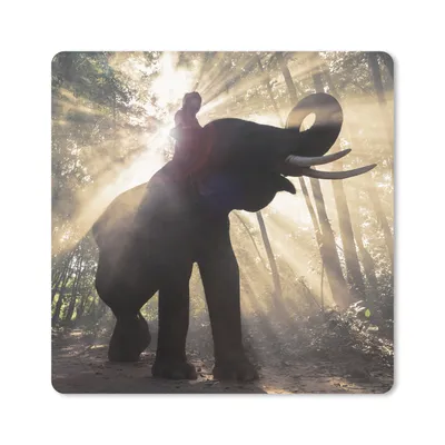 Produktbild von MuchoWow® Mauspad Mousepad Elefant mit Person in hellem Sonnenlicht 20x20 cm - Mousepads - Maus Mat - Pad - Mausunterlage - Desk Mat - Bureauartikeln