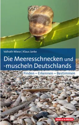 Obrázok produktu pre Die Meeresschnecken und -muscheln Deutschlands