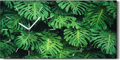 Produktbild von Wanduhr Bürouhr Leinwand Bild Geräuschlos Kunstdruck 60x30 Blumen Monstera Blatt - weiße Hände