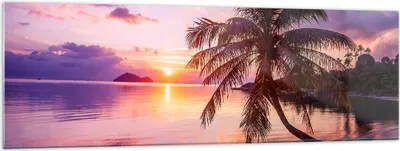 Produktbild von Bilder auf glas - Strand Meer Palme - 160x50cm - Glasbilder - Wandbilder - Kunstdruck - zum Aufhängen bereit - Wanddekoration aus Glas - Glas Bilder - Wandbild auf Glas - Einteilig - GAB160x50-3912