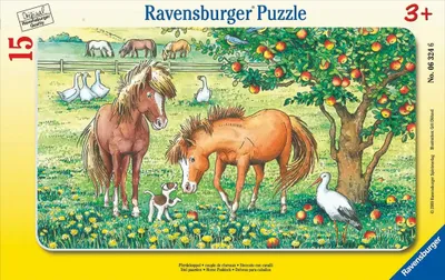 Produktbild von Rahmenpuzzle - 14 Teile - Pferdekoppel
