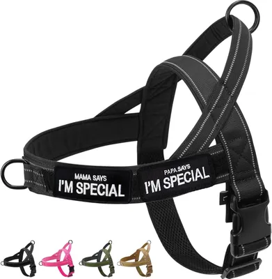 Imagen del producto de Arnés antipulling, reflectante, ajustable, talla M, para perros pequeños y medianos