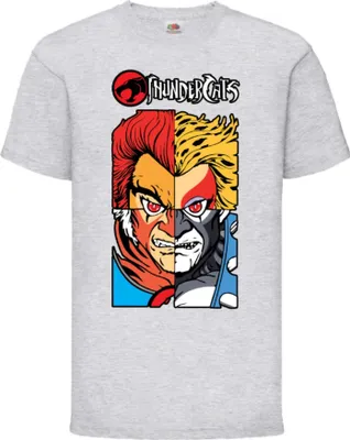 Obrázok produktu pre Detské tričko Kid Thundercats 02, 12-13 Rok - 152 / Heather šedá