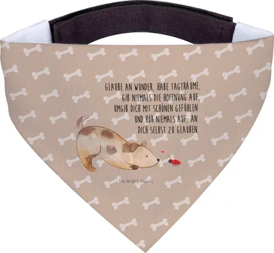 Produktbild von Mr. & Mrs. Panda Tuch Hund Marienkäfer - Hundeglück - Geschenk, Zuversichtlich, Hunde-Halstuch, Hunde Halstuch, Mischlingshund, Sprüche, Positiv, Mischlinghund