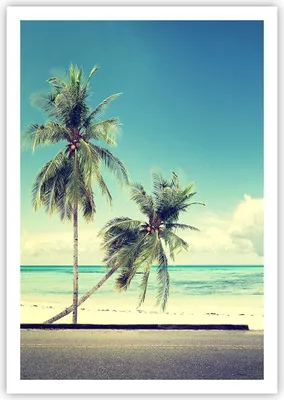 Produktbild von Poster - Poster ohne Rahmen - Auto Surfbrett Strand Ozean - 70x100 cm - Wand Bild - Wanddeko - Wandbilder - Kunstposter - Wandposter - Bilder - Kunstdruck - Wandbild - P2XPA70x100-2835