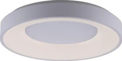 A modern, circular LED ceiling light with a diffused light ring.