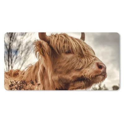 Produktbild von MuchoWow® Mauspad Mousepad Scottish Highlander - Strauch - Heidekraut 60x30 cm - Mousepads - Maus Mat - Pad - Mausunterlage - Nachhaltig