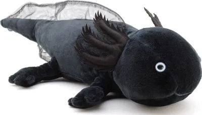 Produktbild von Uni-Toys - Axolotl (schwarz) - 32 cm (Länge) - Plüsch-Wassertier - Plüschtier, Kuscheltier