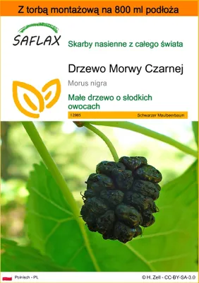Zdjęcie produktu dla SAFLAX - Garden in the bag - Drzewo Morwy Czarnej - 200 Nasiona - Z podłożem uprawowym w praktycznej, samorozkładającej się torbie - Morus nigra