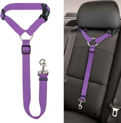Image de INF Ceinture de sécurité réglable pour animaux - Sécurité en voiture Violet