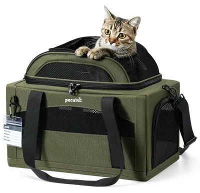 Produktbild von Katzentransportbox erweiterbar Grün L 42 x B 28 x H 23 cm Flugzeugtauglich