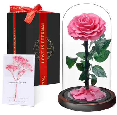 Image de Rose éternelle en verre, fleur conservée, coffret cadeau, 1 pièce, pour la décoration