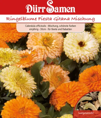 Produktbild von Ringelblume Fiesta Gitana Mischung | Ringelblumensamen von Dürr Samen