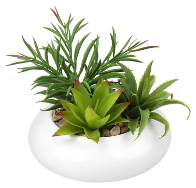 Image de Plante succulente artificielle dans un pot en céramique, composition de plantes succulentes, plante d'intérieur pour le salon, le balcon, la chambre à coucher, la salle de bains, décoration de table, hauteur 18 cm
