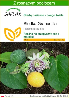 Zdjęcie produktu dla SAFLAX - Słodka Granadilla - 20 Nasiona - Z podłożem uprawowym wolnym od zarazków - Passiflora ligularis