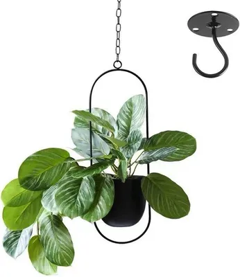 Image de Pot suspendu pour plantes d'intérieur - vase décoratif noir - 1 pièce - métal
