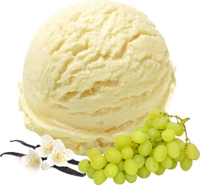 Zdjęcie produktu dla Wegańskie lody waniliowe w proszku bez cukru i laktozy 10 kg