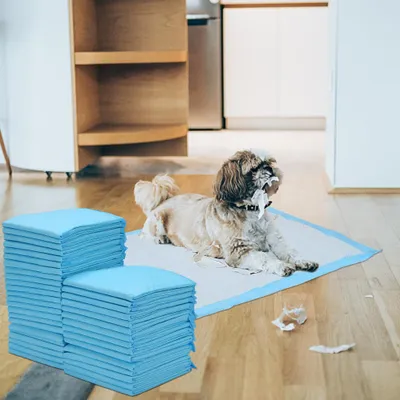 Produktbild von Eikuavons 200 Stück Welpenunterlagen 45x60 cm Hundetoilette Pads Einweg Hunde Trainingsmatten