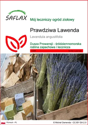 Zdjęcie produktu dla SAFLAX - Prawdziwa Lawenda - 150 Nasiona - Lavandula angustifolia