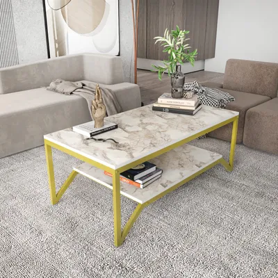 A coffee table with books and a plant in a living room setting.