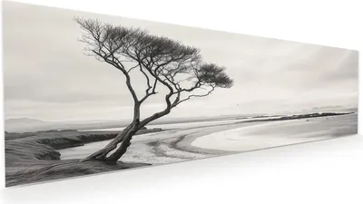 Produktbild von Glasbild 120x40cm in XXL für Wohnzimmer, Schlafzimmer Motiv Einsamer Baum am Meer