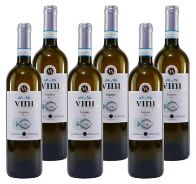 Produktbild von Vini di Paolo Lugana DOC -trocken- (6 x 0,75L)