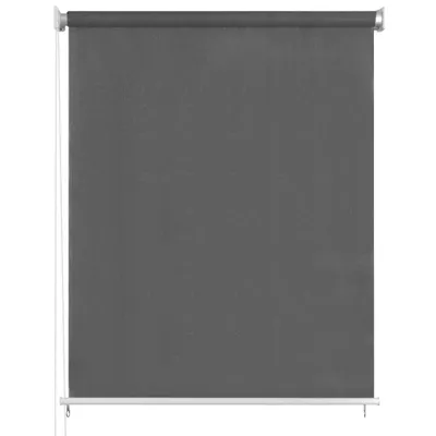 Image de vidaXL Store extérieur 60x230 cm Anthracite