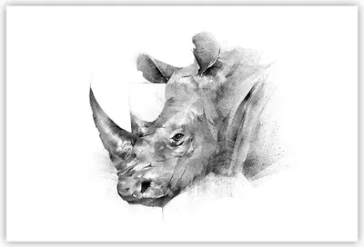 Produktbild von Poster - Poster ohne Rahmen - Nashorn Porträt Grafik - 91,5x61 cm - Wand Bild - Wanddeko - Wandbilder - Kunstposter - Wandposter - Bilder - Kunstdruck - Wanddekoration - Wandbild - P2XAA91x61-4378