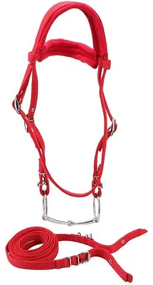 Pferdehalfter mit Gebiss und Zügel, rot, Large, verstellbar