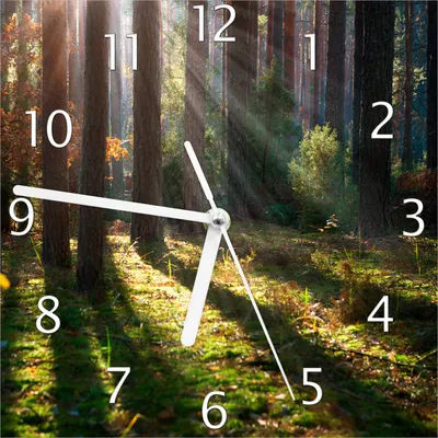 Produktbild von Wallario Design Wanduhr Sonnenstrahlen im Herbstwald aus Echtglas, Größe 20 x 20 cm