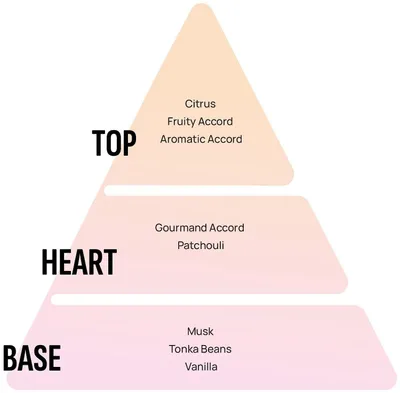 Image de Bâtons parfumés Areon Premium - Patchouli, Lavande, Vanille, 1 l