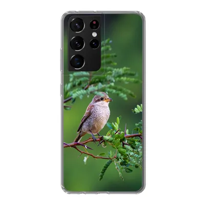 Produktbild von MuchoWow® Handyhülle Schutzhülle Hülle für Samsung Galaxy S21 Ultra Vogel - Baum - Wald Silikon Softcase Handy Hülle - Mobiltelefon