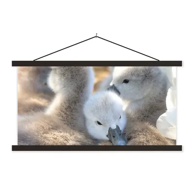 Produktbild von MuchoWow® Textilposter Schwäne - Licht - Küken 60x30 cm mit schwarzem Rahmen - Textilien