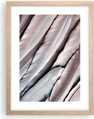 Produktbild von Gerahmtes Poster - Rahmen in heller Eiche - Federn Flügel Feder - 30x40 cm - Wand Bild - Wanddeko - Wandbilder - Kunstposter - Wandposter - Bilderrahmen - Bilder - Kunstdruck - P2NPA30x40-5114