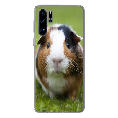 Produktbild von MuchoWow® Handyhülle Schutzhülle Hülle für Huawei P30 Pro Zwei Meerschweinchen Silikon Softcase Handy Hülle - Schutzdeckel