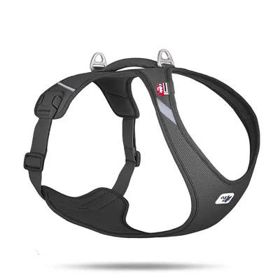 Obrázek produktu pro CURLI Postroj pro psy Belka Air-Mesh Black 3 XL, 22-31 kg