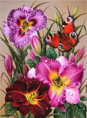 Produktbild von 5D Diamond Painting DIY Diamant Painting Bilder Diamant Malerei Kits Anfänger Malen Nach Zahlen Perlen Bilder Strass Glitzer Diamont Painting Stickerei Kunsthandwerk Wand Dekorationen Blumen
