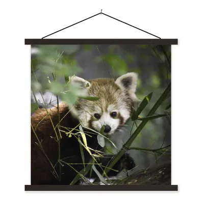 Produktbild von MuchoWow® Textilposter Roter Panda - Zweige - Grün 90x90 cm mit schwarzem Rahmen - Magnetisches