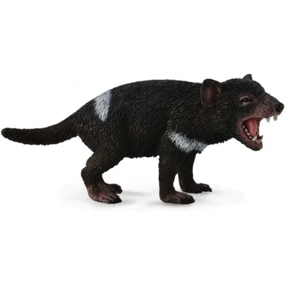 Immagine prodotto di COLLECTA Diavolo della Tasmania