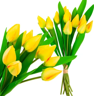 Image de Grand bouquet de tulipes X12 Fleurs artificielles jaunes Tulipes En Bouquet