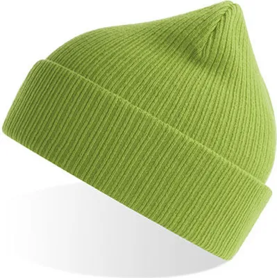 Produktbild von Atlantis NELB | Nelson Beanie Wintermütze e Baumwolle - Farbe: Leaf Green - Größe: One Size