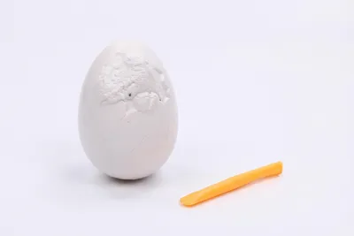 Image de Œuf dinosaure DIY : déterre une figurine de dinosaure
