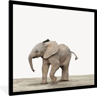 Produktbild von MuchoWow® Gerahmtes Poster Baby-Elefant - Tiere - Kinder - Mädchen - Jungen 40x40 cm - Poster mit Schwarzem Bilderrahmen Wandposter Rahmen Foto Bilder - Mit Rahmen - Wanddekoration Schlafzimmer