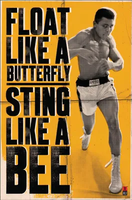 Produktbild von Muhammad Ali Float and Sting Poster 61 x 91,5 cm