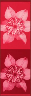 Obrázok produktu pre moderný koberec ideálny do kuchyne a kúpeľne Clematis 180x57 CM
