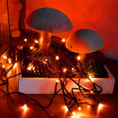 Produktbild von Lichterkette Deko Beleuchtung 120 LED Bernsteinfarben Außen Outdoor Timer Trafo