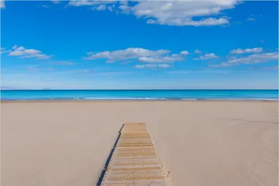 Produktbild von Wallario selbstklebendes Poster - Auf dem Holzweg zum blauen Meer, Größe: 100 x 150 cm